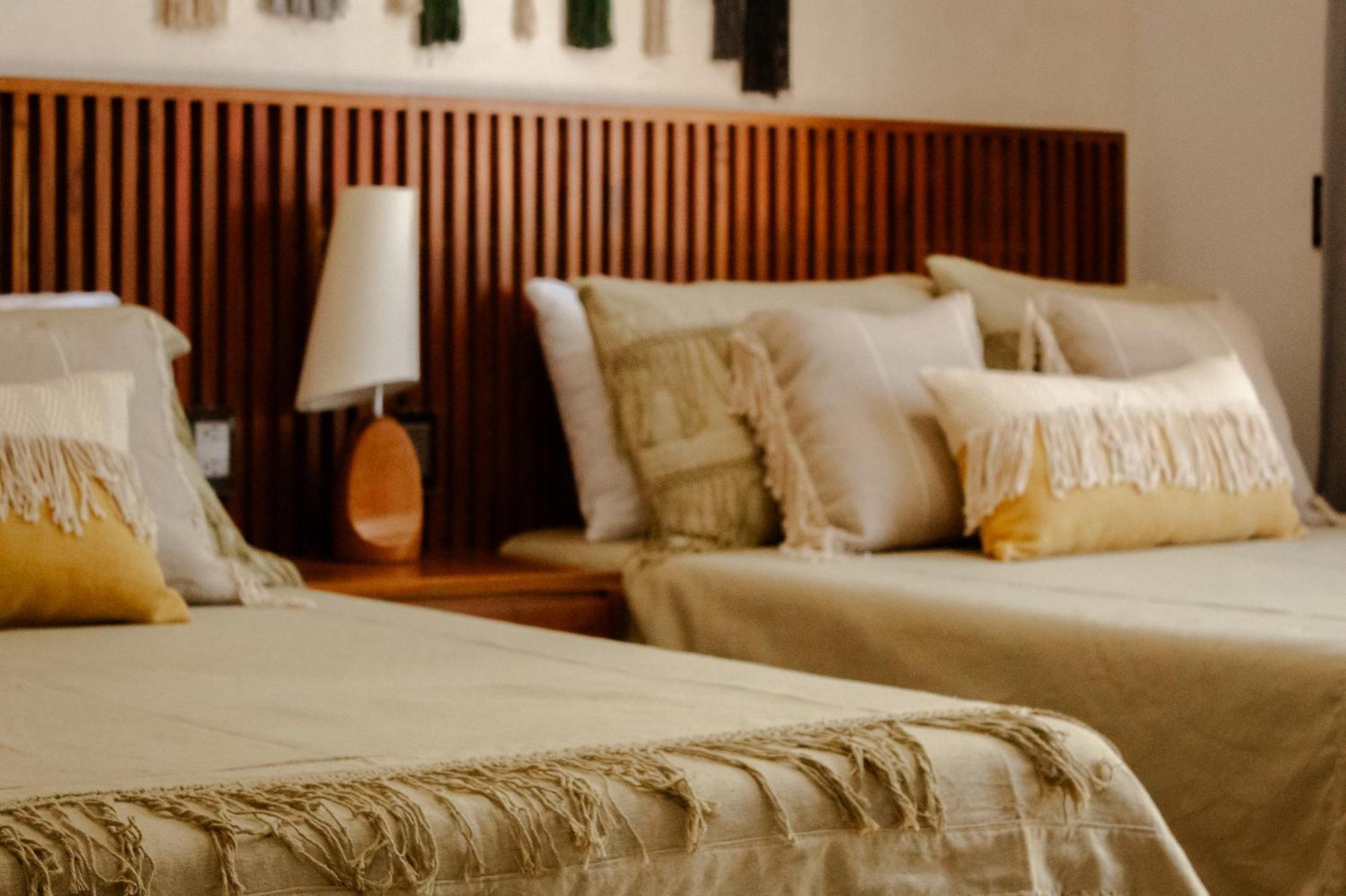 Casa Cactus Luxury