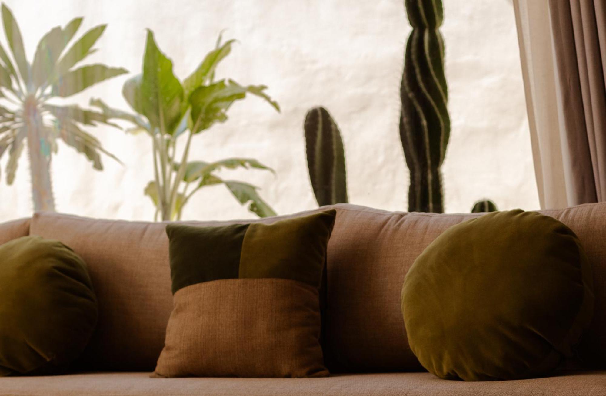 Villa Casa Cactus Luxury *